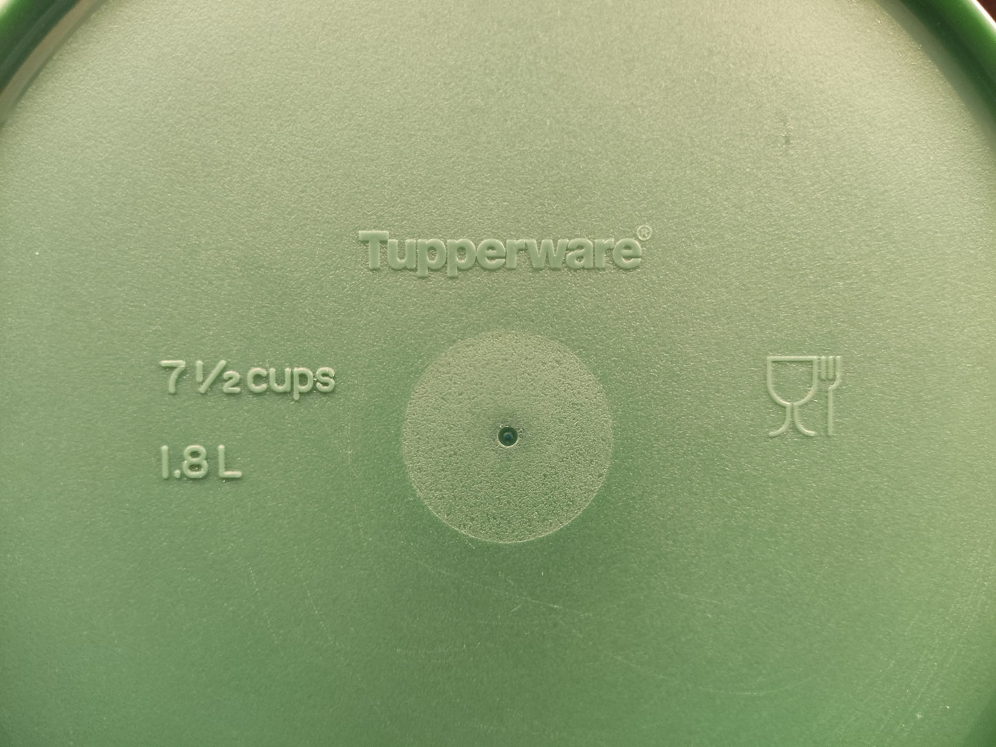 Tupperware vierkante schaal blauw groen