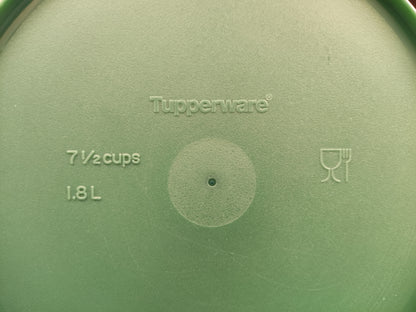 Tupperware vierkante schaal blauw groen